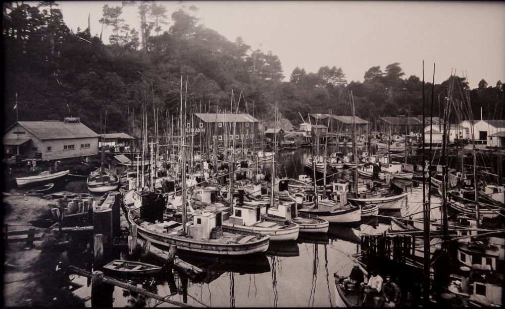 Noyo Harbor